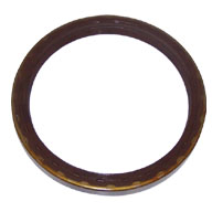 538001-4.jpg